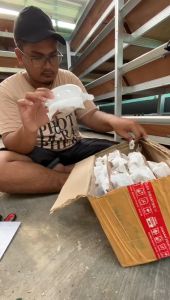 telur maggot bsf paket 40 gram/Bergaransi 100%/telur magot bsf anti menggumpal