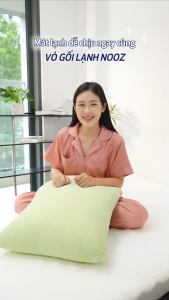 Vỏ Gối Nằm Lạnh NOOZ Icesilk N4 Áo Gối Mát Lạnh Mềm Mịn 50x70cm Dễ Dàng Vệ Sinh NOOZ Home Goods Bedding