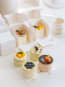 2-3 Inch Mini Small Slices Cake Packaging Box