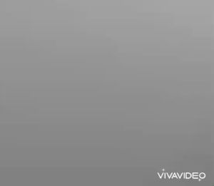 2 CÁI. Móc Dán. mẫu mới có sẵn ốc vít không cần khoan tường Chuyên Dụng Treo Tranh Đồng Hồ Khung Ảnh Chìa Khóa.1153.1154