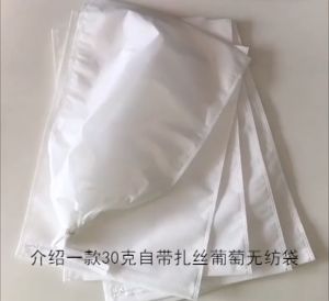 100 ชิ้น ถุงห่อผลไม้ ปกป้องต้น กลับมาใช้ได้ ลดต้นทุน สามารถจัดส่งจากกรุงเทพฯ สำหรับ การผลิต