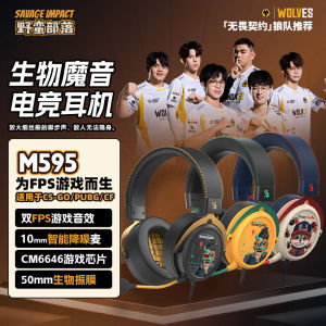 Double Flying Swallow M595 Headset Wearing Style CSGO Fearless Contract E-Sports Sound Positioning FPS Game Earphone with Mic