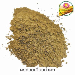 ก๋วยเตี๋ยวน้ำตก ผงก๋วยเตี๋ยวน้ำตก ขนาด 100 กรัม