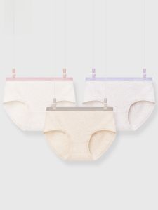 MONCAICHAN | Antibacterial Womens Cotton Briefs