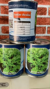 วาซาบิ ผักกาดเขียวน้อย ผักาดหิ่น ผักกาดสร้อย เมล็ด 80กรัม สิ้นอายุทำพันธ์ุ์ 08 /69