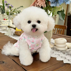 Five Little White Bear Pet Clothes Fall and Winter New Arrival Tulip Gingham Waffle Lace Skirt Dog Homewear