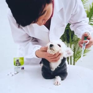 Cat Pill Shooter Pet Medicine Feeder Push Cartridge Medicine Feeder Dog Cat Medicine Feeder