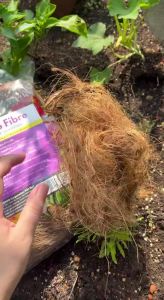 Serbajadi Coco Fibre Soil Ammendments Serat Kelapa Tanaman 5L & 20L
