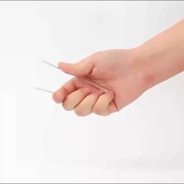 (1 PCS) 33cm Bird Spikes Repellent Mat Stainless Steel Animal Repeller