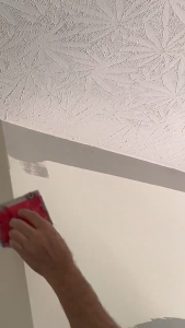 Paint Edger Brushes Corner Painting Brush Edger Refill Pad Home Tools Ceiling