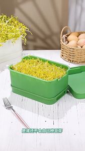 Kotak Pot Serbaguna - Kotak Pot Berlapis - Kotak Penyimpanan Tanaman Plastik - 1pcs