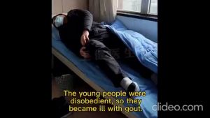 VARICOSE VEINS TREATMENT CREAM Spider Vein Pain Varicosity Effective Healing Cream Removal Anti Veins Remover for Legs Effective Ointment Relief Veins Pain for Men and Women 30g