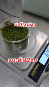 ผักโรยข้าว บ้านรยา 12M+ รองรัก อาหารเด็ก เสริมเด็ก กินเด็ก สำหรับเด็ก