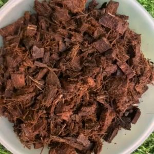 Coco Cubes for Plants: A Comprehensive Guide