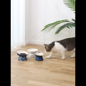 Bát ăn bằng gốm sứ chân cao cho chó mèo thú cưng - Đen Ta pet shop