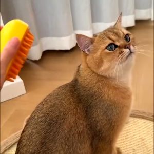 3 ชุด แปรงไอน้ํา ทำให้ความสะอาดตัวเองสะอาดสุด สุขภาพสำหรับนวดขนสัตว์เลี้ยง สูงสำหรับมาเคลื่อนที่สุนัข แมว