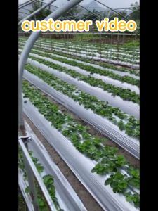 40 Microns Plastic Mulch 4ft 1.2m x 400m Plastic Mulch Agricultural Thickened Silver and Black Two-Color Mulch Film Orchard Vegetable Planting Mulch Film Mulching film Agricultural plastic mulch Biodegradable mulch film
