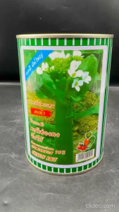 คะน้าฮ่องกง จัมโบ้ ขนาด 500 กรัม หมดอายุ05/2570 ปลาทอง งอกดี ลำต้นใหญ่ ยอดอวบ สีเขียวเข้ม มีน้ำหนักดี หวานกรอบ อายุเก็บ 45 วัน