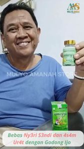 Godong Ijo Original: Solusi Nyaman untuk Redakan Nyeri Sendi Asam Urat Rematik