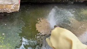 Tẩy rong rêu tẩy trắng ron gạch tẩy xi măng tẩy rỉ sét tẩy cặn caxi trên bề mặt sàn gạch xi măng đá mài