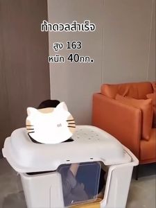 กระบะทรายแมวใหญ่ ขยายความยาวและความกว้าง ป้องกันการกระเด็นของทราย ปิดเปิดวัตถุประสงค์คู่ ห้องน้ำแมวCat litter box