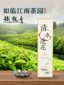 Scent of Green Tea Natural Herb Joss-Stick For Home Indoor Coffee Fragrance Zen Tea Room Tieguanyin Long Incense Incense Burner