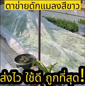 [ขายตรงจากโรงงาน] มุ้งขาว มุ้งกันแมลง ผัก มุ้งตั๊กแตน มุ้งขาว 32ตา/40ตา/60ตา หน้ากว้าง 2-3 เมตร