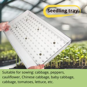 Tùy chỉnh Vườn Ươm khay seeder của nhãn hiệu cầm tay gieo hạt công cụ cho nhà kính vườn cho rau diếp dầu Rau diếp