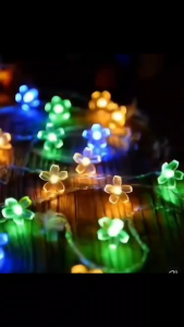 Dây Đèn Led NOEL Năng Lượng Mặt Trời 7m - 50 Bóng cắm cỏ sáng Vàng Nắng và Đủ Màu