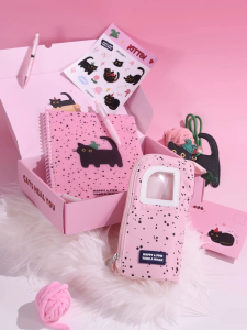 Wool Kitten Stationery Gift Set Aesthetic Journal Kit for Girls Complete School Supplies Box Cute Pencil Case Exquisite Birthday Reward Gift for Students