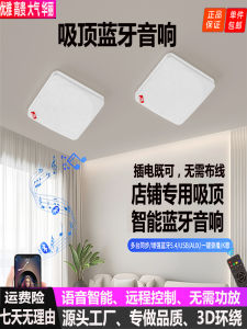 Smart Voice Controlled Wall Mounted Bluetooth Speaker Wireless Remote WiFi Speaker for Tea Shop Business Stereo Sound Quality