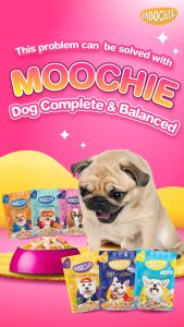 Moochie Complete & Balanced Nutrition Wet Dog Food Casserole with Real Meat 85g Assorted Flavor