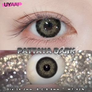 ⚡จัดส่งจากกรุงเทพ⚡【มีค่าสายตา0.00--6.00】UYAAI x FRESHLADY คอนแทคเลนส์สี PATTAYA Series เทาคอนแทคเลนส์ ใช้รายเดือน 2ชิ้น/คู่