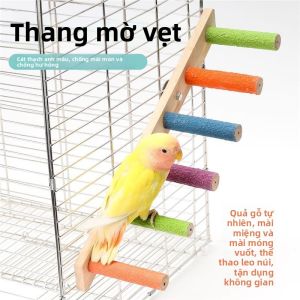 MONLEYTA | Dây Thang Leo Tương Tác Mài Móng Cho Đồ Chơi Chim Cánh Cụt