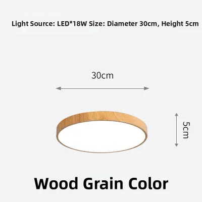 Slim Modern Minimalist LED Ceiling Light