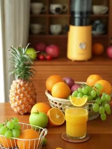 Patent Removable Residue Outlet Pulp Separation Juicer Household Fruit and Vegetable