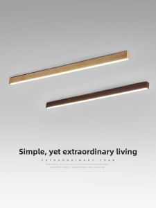 FANZHEN | Minimalist Linear Ceiling Light for Hall Living Room Office