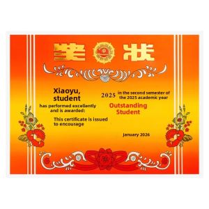 FEIYU | Custom Printable Certificate Paper A4 Gold Foil