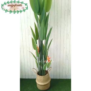 Pohon Hias Daun Pisangan Heliconia Bunga Paradise T210 Latex Pot Dasar Hitam Cover Anyaman Purun Belly Hiasan Ruang Tamu