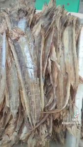 Khô Cá Chình Mỡ Loại 1 Đặc Biệt Thơm Ngon Tươi Mới Mỗi Ngày- Vựa Khô Nàng Tiên