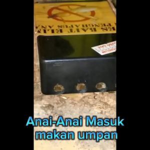 UMPAN PENGHAPUS ANAI-ANAI