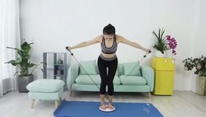 Healthy Massage Waist Twisting Disc Exercise Body Waist Twist Board-Small