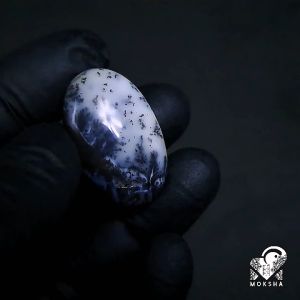 Natural Dendritic Agate Chalcedony Colector Item (Rare Item)