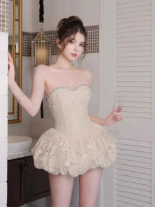 Elegant Lace Crochet Embroidered Strapless Dress