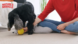 Nature’s Miracle Advanced Stain & Odor Eliminator DA-3272