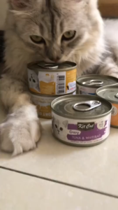 85g KitCat GoatMilk Gravy Deboned Cat Cats Wet Food Can All Stages Adult Kitten Pet Essentials