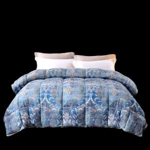 Thickened Goose down Quilt Winter Warm Student Bedding All Seasons Single Double Size Four Seasons Quilt Blanket Cover Included