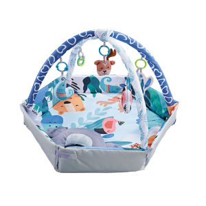 Newborn Visual Development Activity Center