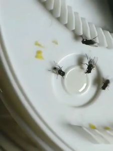 Automatic USB Plug Fly Trap Electric Fly Catcher Free Bait Insect Traps Insect Killer Indoor Pest Control Device