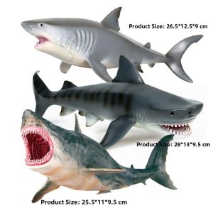 Child Simulation Marine Creatures Model